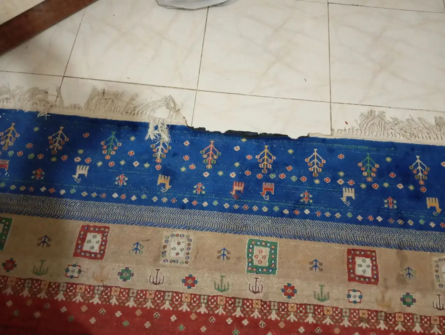 فرش شگی و ماشینی|فرش|شیراز, شهرک والفجر|دیوار