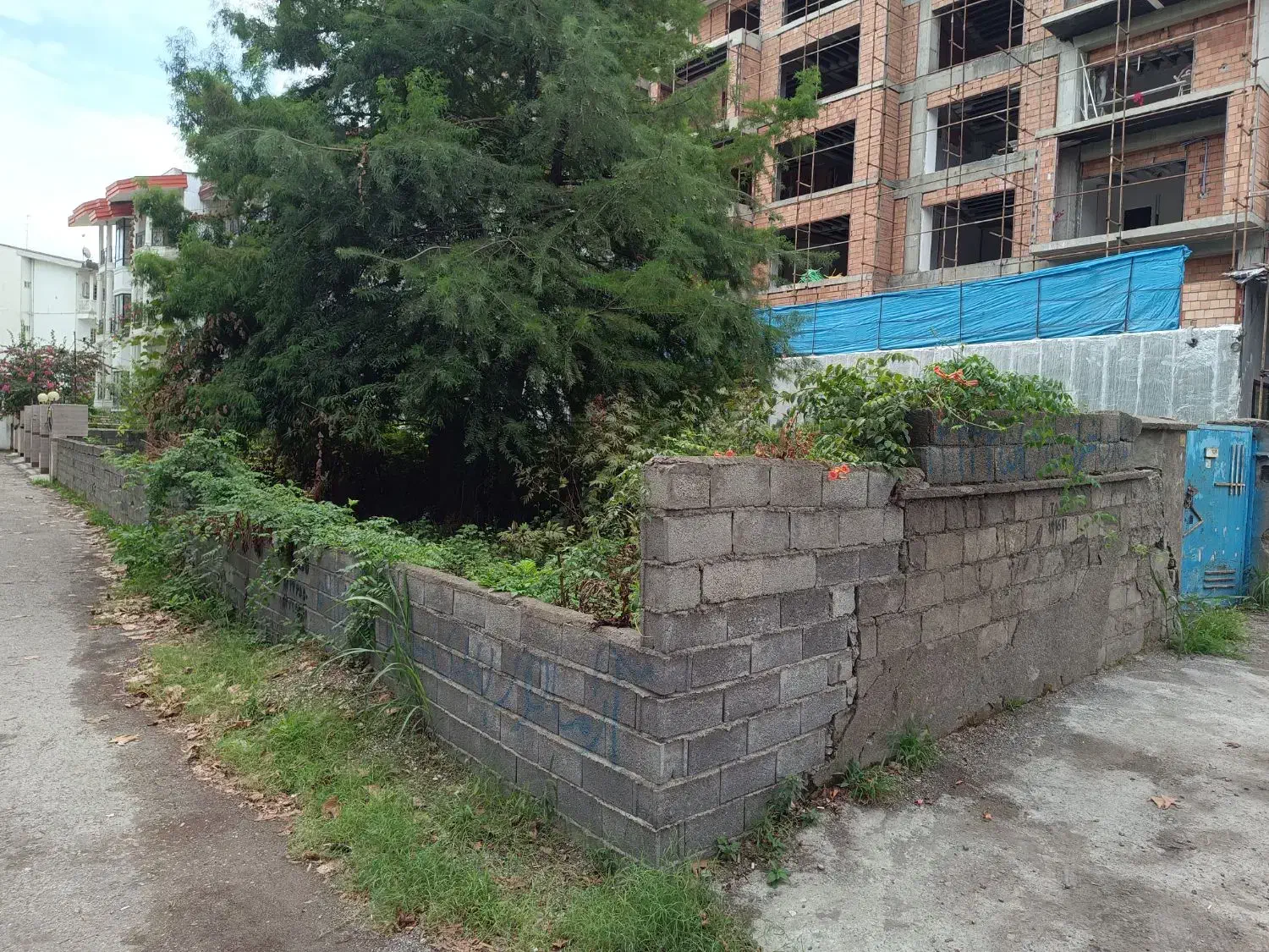 زمین ۶۰۰ متر بر دهخدا مشارکت|مشارکت در ساخت املاک|نوشهر, |دیوار