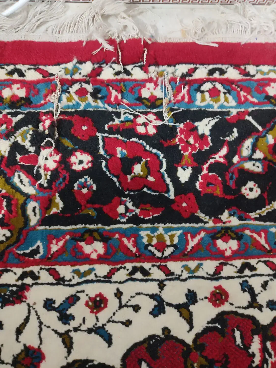 فرش ماشینی 6متری|فرش|رامسر, |دیوار