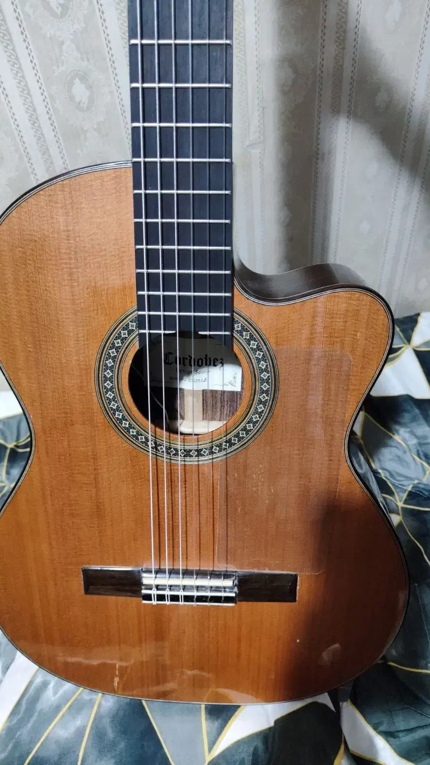 گیتار کوروبز پیکاپدار|گیتار، بیس، امپلیفایر|پرند, فاز ۶|دیوار