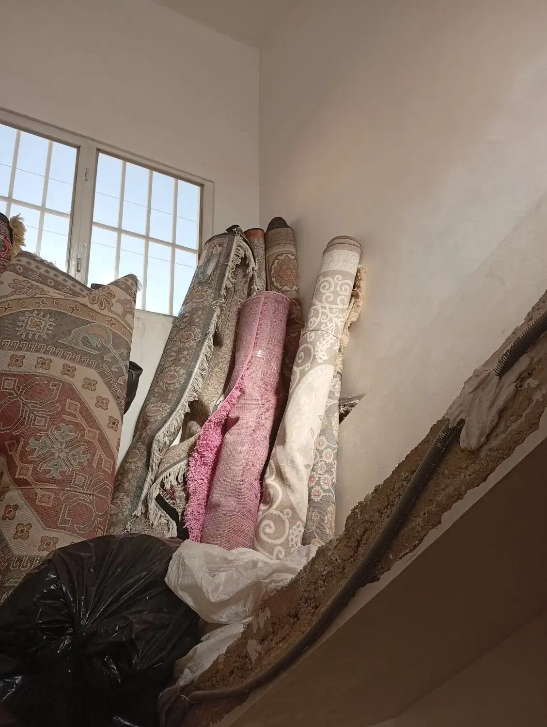 فروش فرش در حد نو|فرش|شیراز, گویم|دیوار