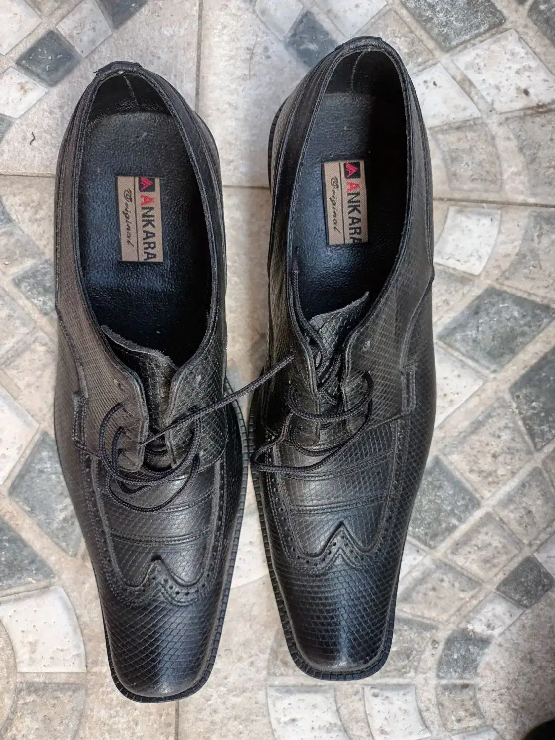 کفش مردانه چرم تبریز|کیف، کفش، کمربند|رشت, شکار اسطلخ|دیوار