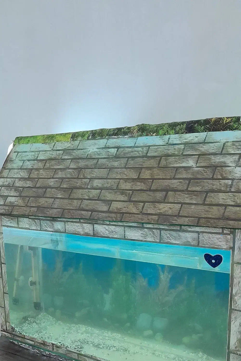 اکواریوم|ماهی|اهواز, فدک|دیوار