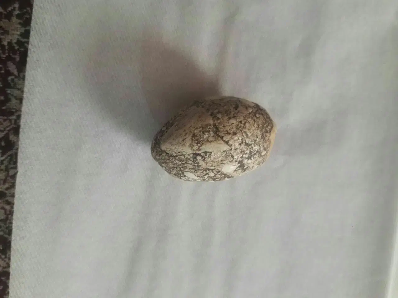 مهره اصل تیربند جنس مخالف قوی برد کم یاب بی نظیر|بدلیجات|کارون, |دیوار