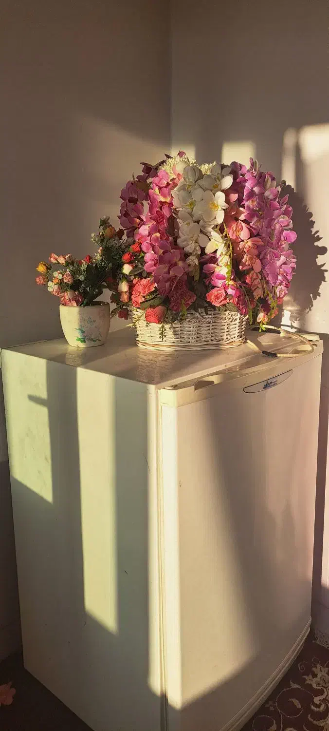 ۵۰۰ متر خونه باغ دو طبقه و نیم ۵۰۰ هزار|اجارهٔ کوتاه‌مدت ویلا و باغ|همدان, |دیوار