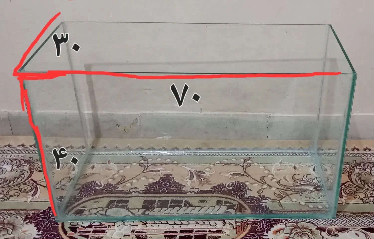 آکواریوم|ماهی|زاهدان, |دیوار