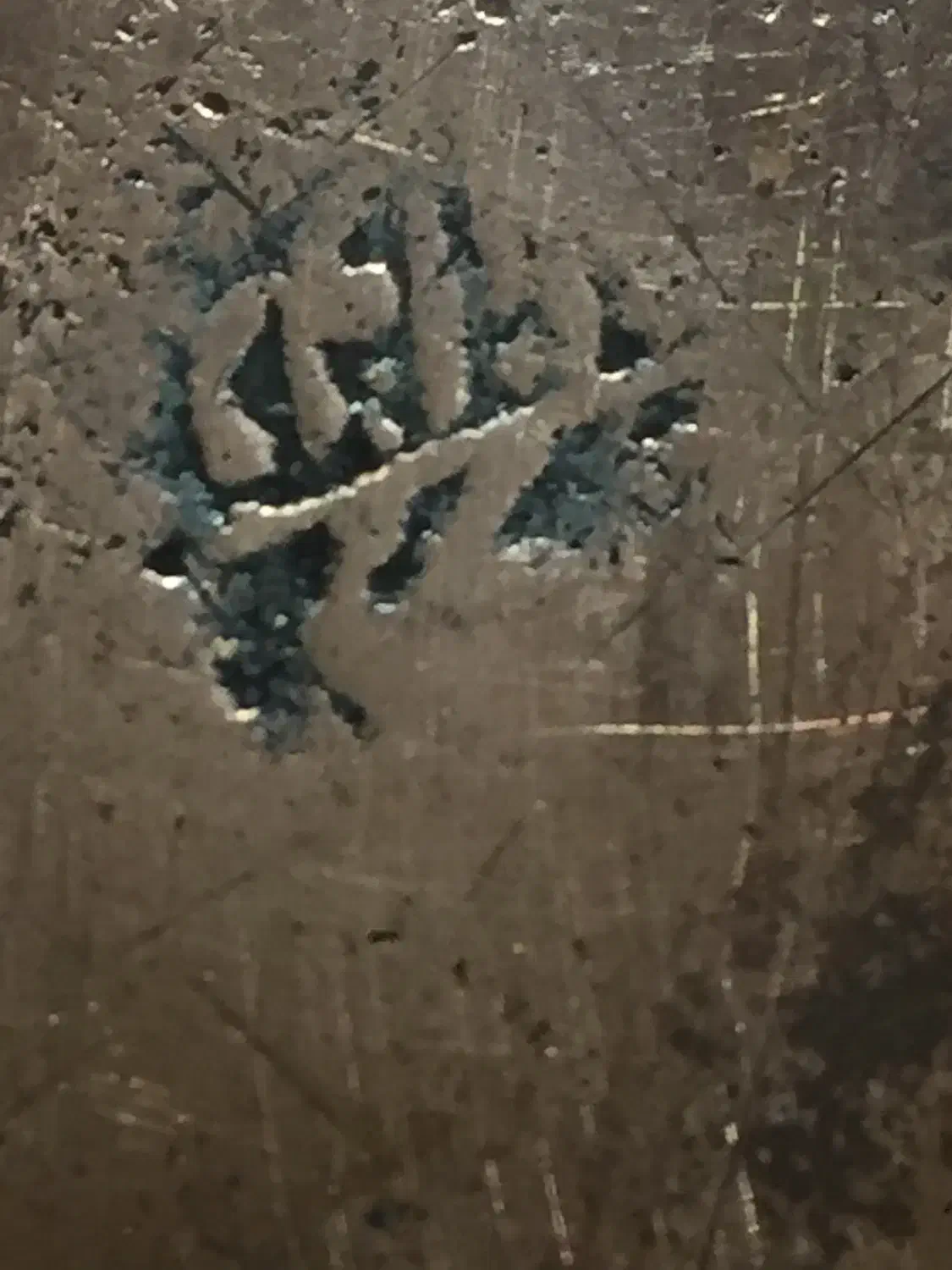 مجموعه ۳۰۰ ساله بکر|کلکسیون اشیاء عتیقه|پایین هولار, |دیوار