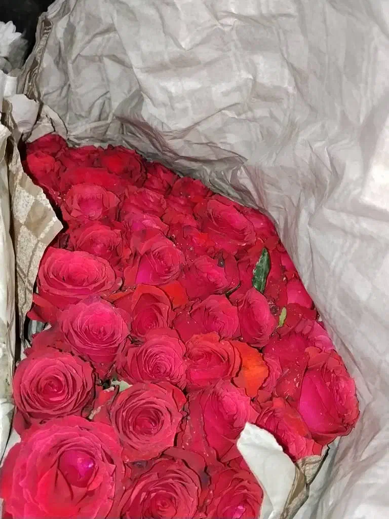 گل رز ایرانی بسته|گل و گیاه طبیعی|شیراز, شیخ علی چوپان|دیوار