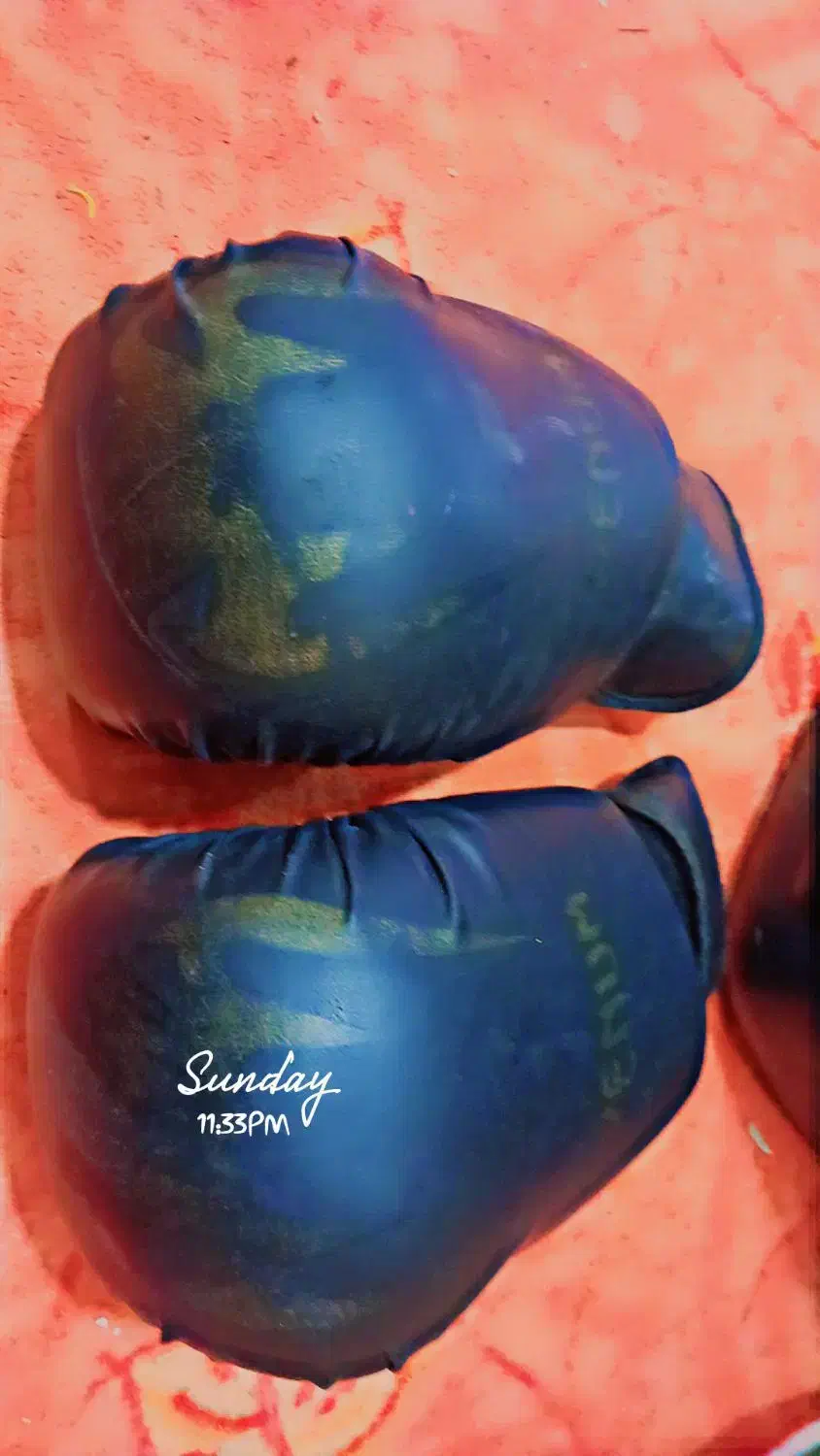 دستکش بوکس|تجهیزات ورزشی|برازجان, |دیوار