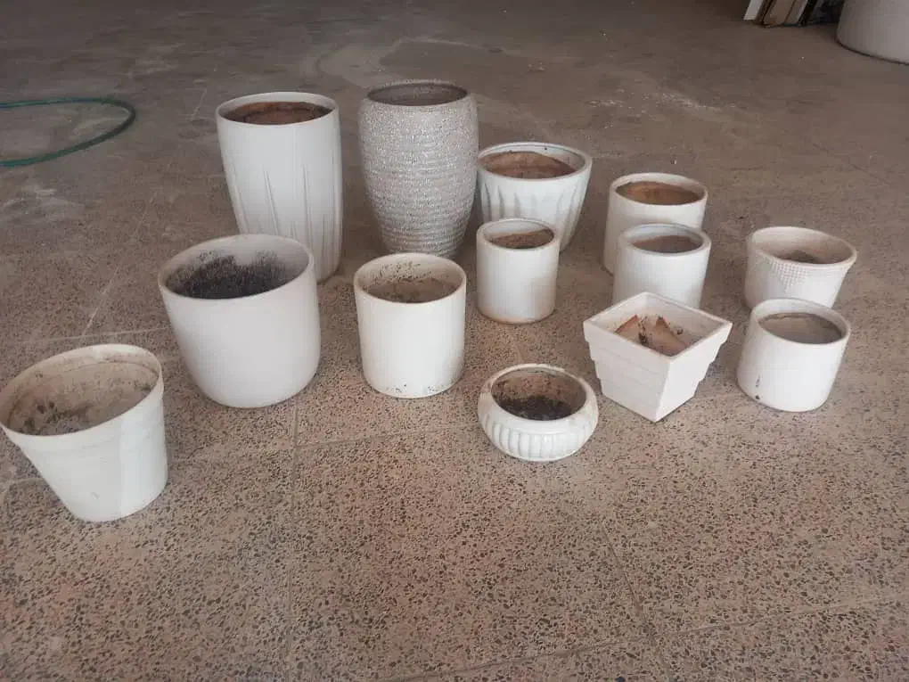 تعدادی گلدان سرامیک سفید در حد|صنایع دستی و سایر لوازم تزئینی|اسلامشهر, شهرک قائمیه|دیوار