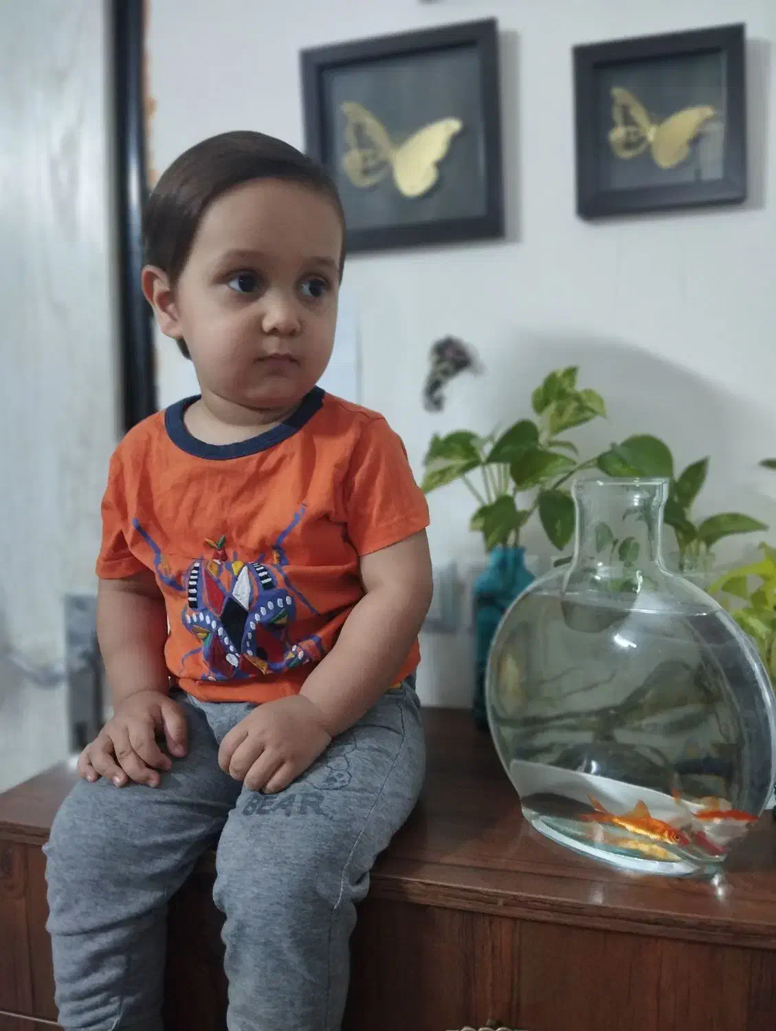 0938.4200.250|سیم‌کارت|مشهد, بهاران|دیوار