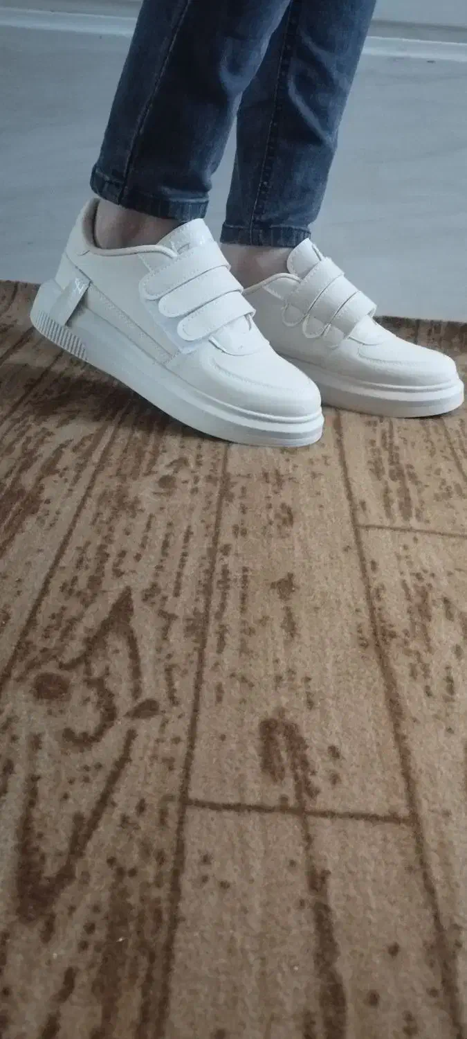 کتونی نو|کیف، کفش، کمربند|زنجان, |دیوار