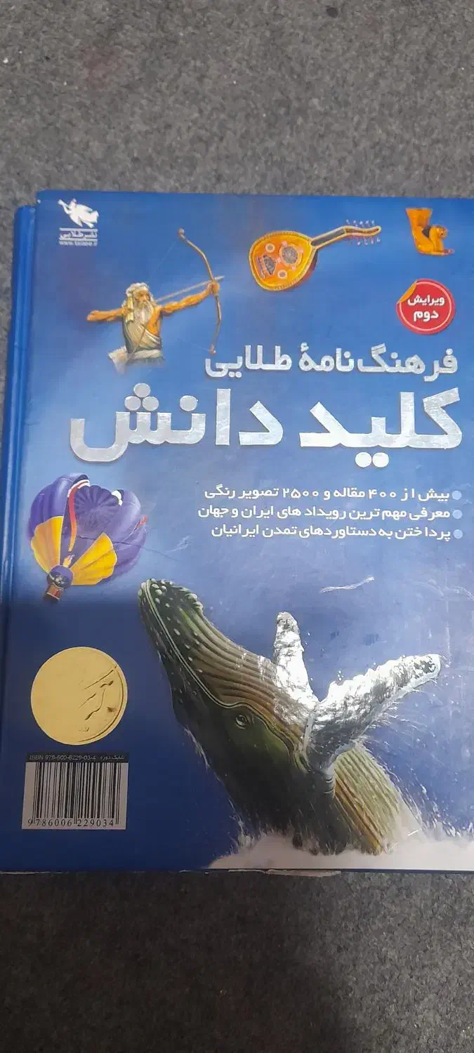 کلیددانش قدیمی|کتاب و مجله تاریخی|شیراز, اصلاح‌نژاد|دیوار