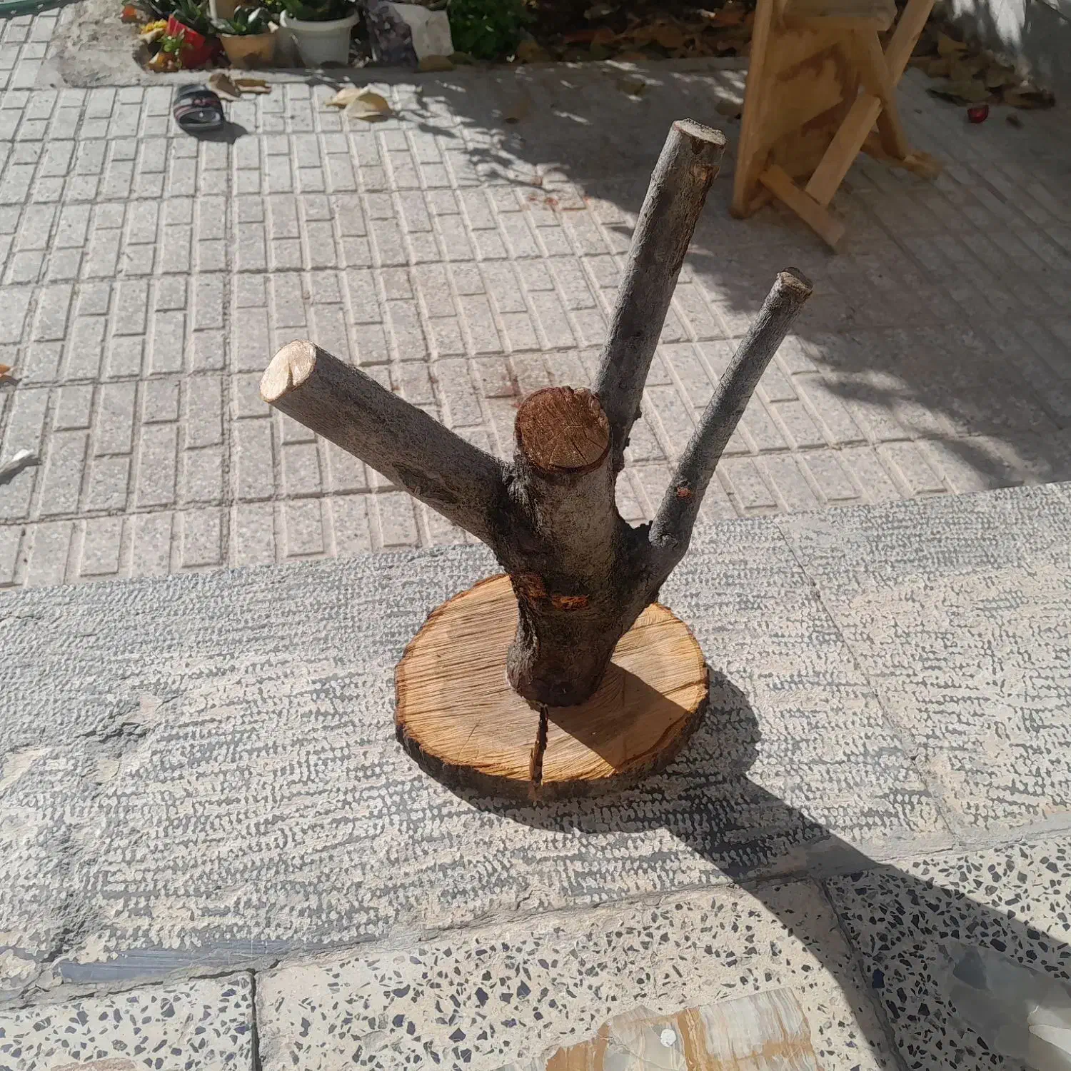 استند پرنده|لوازم جانبی حیوانات|نجف‌آباد, قلعه سفید|دیوار