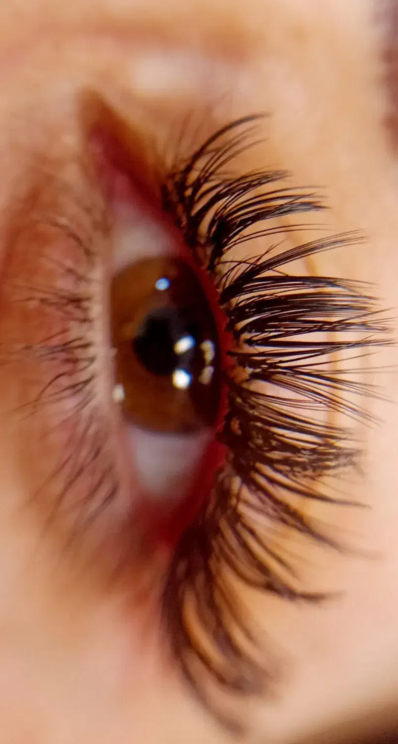 اکستنشن مژه و کاشت هیدن .لیفت ابرو .لیفت و مژه|خدمات آرایشگری و زیبایی|بندر گناوه, |دیوار