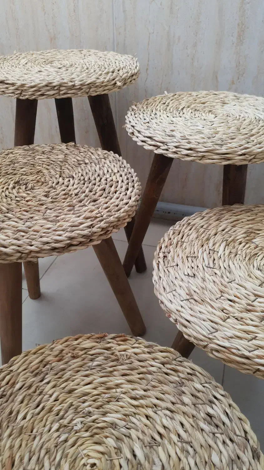 سه‌پایه گلدان|گل و گیاه طبیعی|پاکدشت, پاکدشت (مامازند)|دیوار