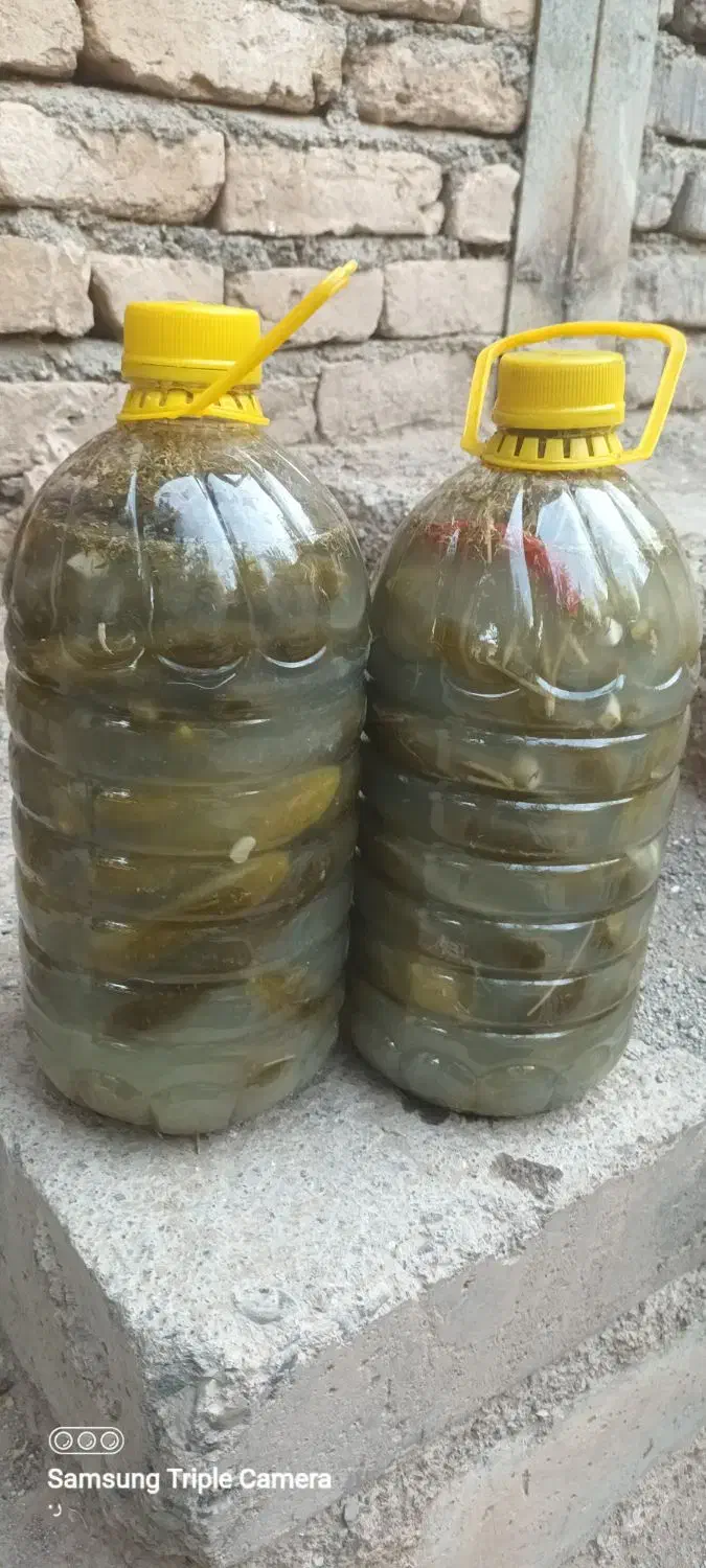 خیارشورمحلی تردوخوشمزه|خوردنی و آشامیدنی|تربت‌حیدریه, بالا ولایت|دیوار