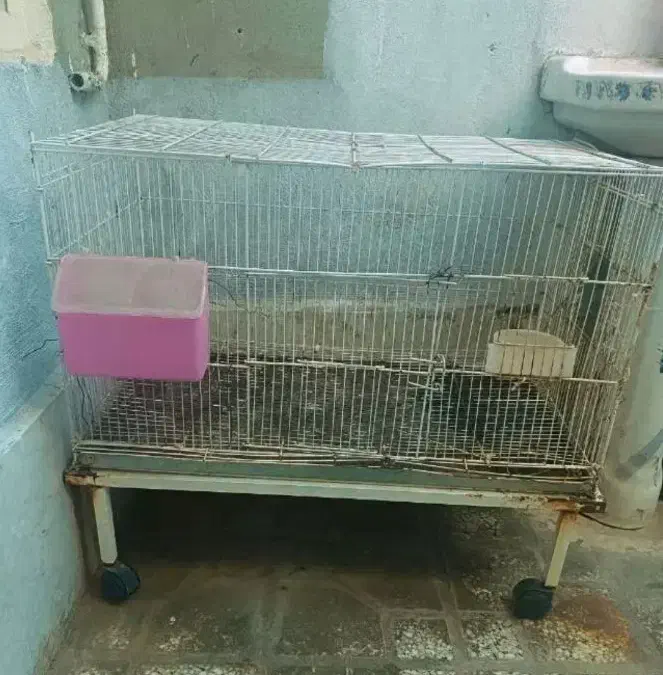 قفس مرغ و خروس|لوازم جانبی حیوانات|شیراز, شهرک مهرگان|دیوار