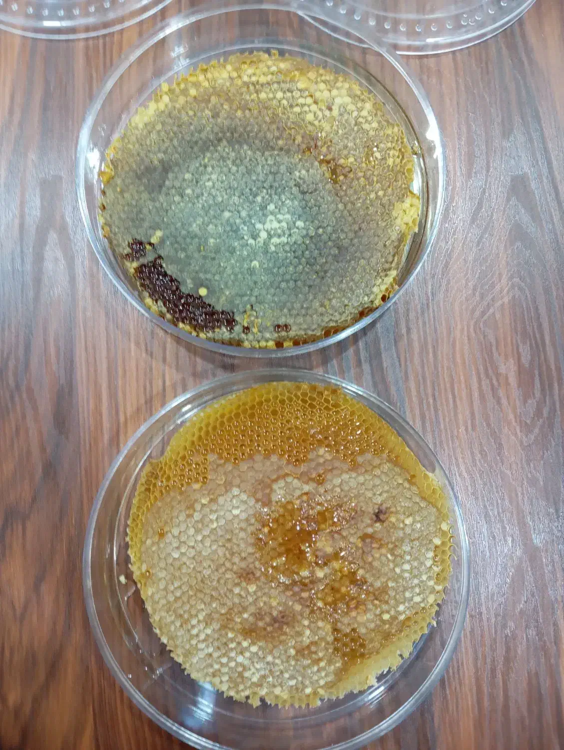 عسل طبیعی باضمانت|خوردنی و آشامیدنی|بانه, |دیوار