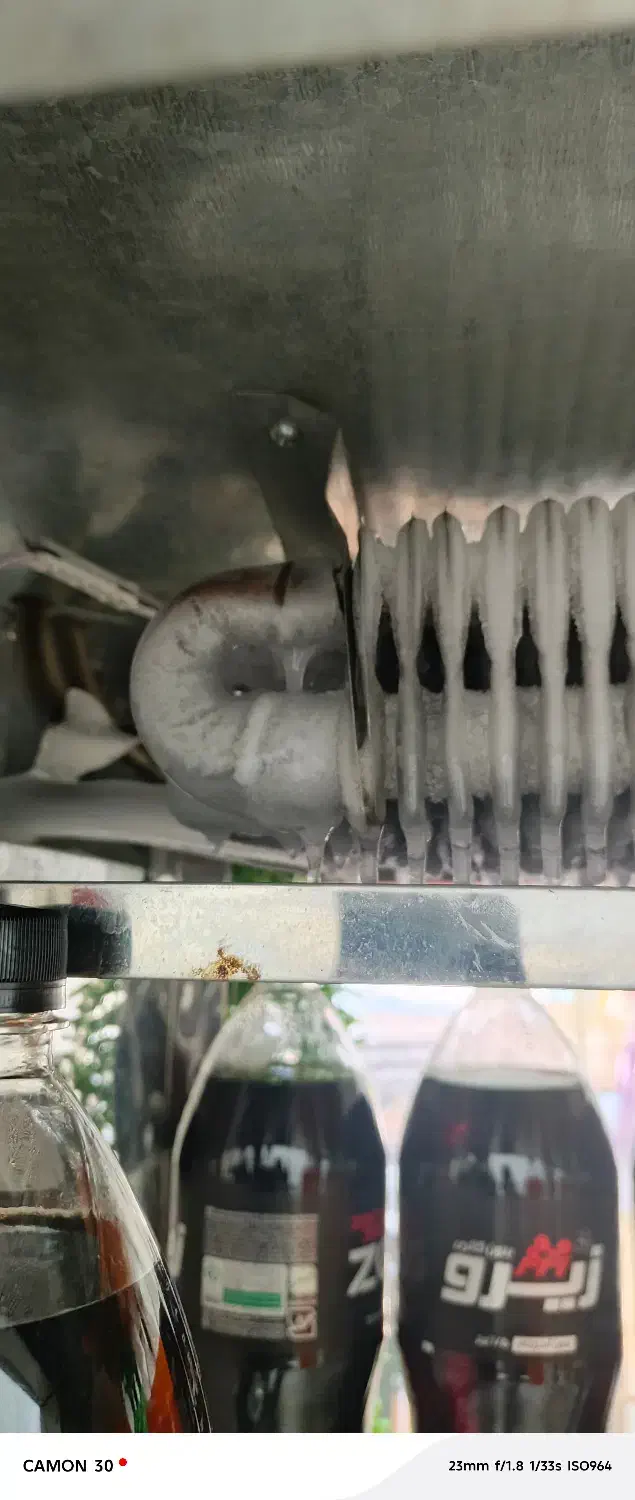 یخچال ویترینی دومتری|یخچال و فریزر|بانه, |دیوار