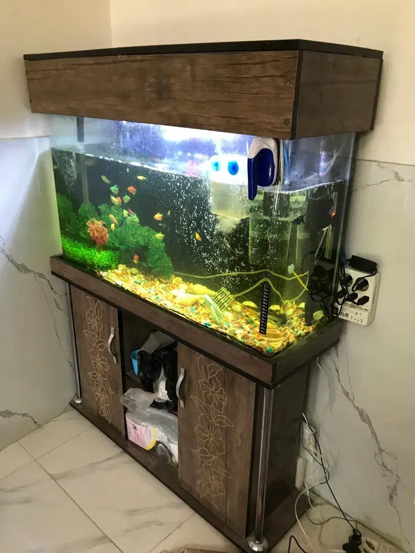 آکواریوم کامل با میز|ماهی|چهاردانگه (تهران), |دیوار