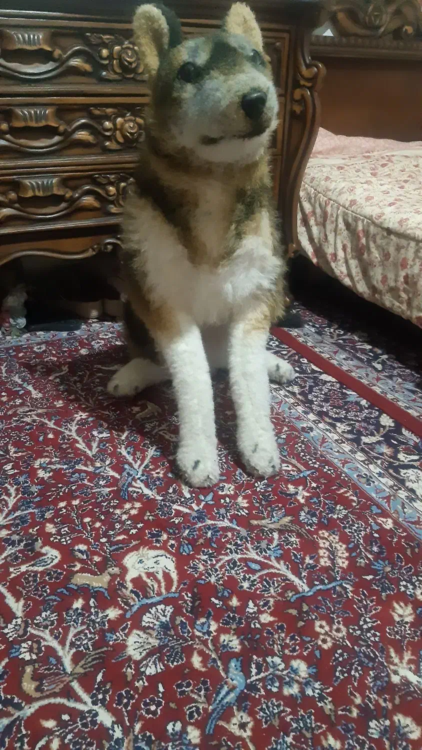 عروسک گرگ پلیشی سایز بزرگ|اسباب‌‌بازی|کرمانشاه, |دیوار