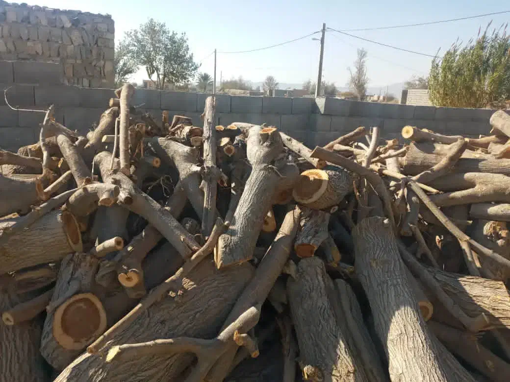 خرید انواع چوب|خدمات باغبانی و درختکاری|جهرم, |دیوار