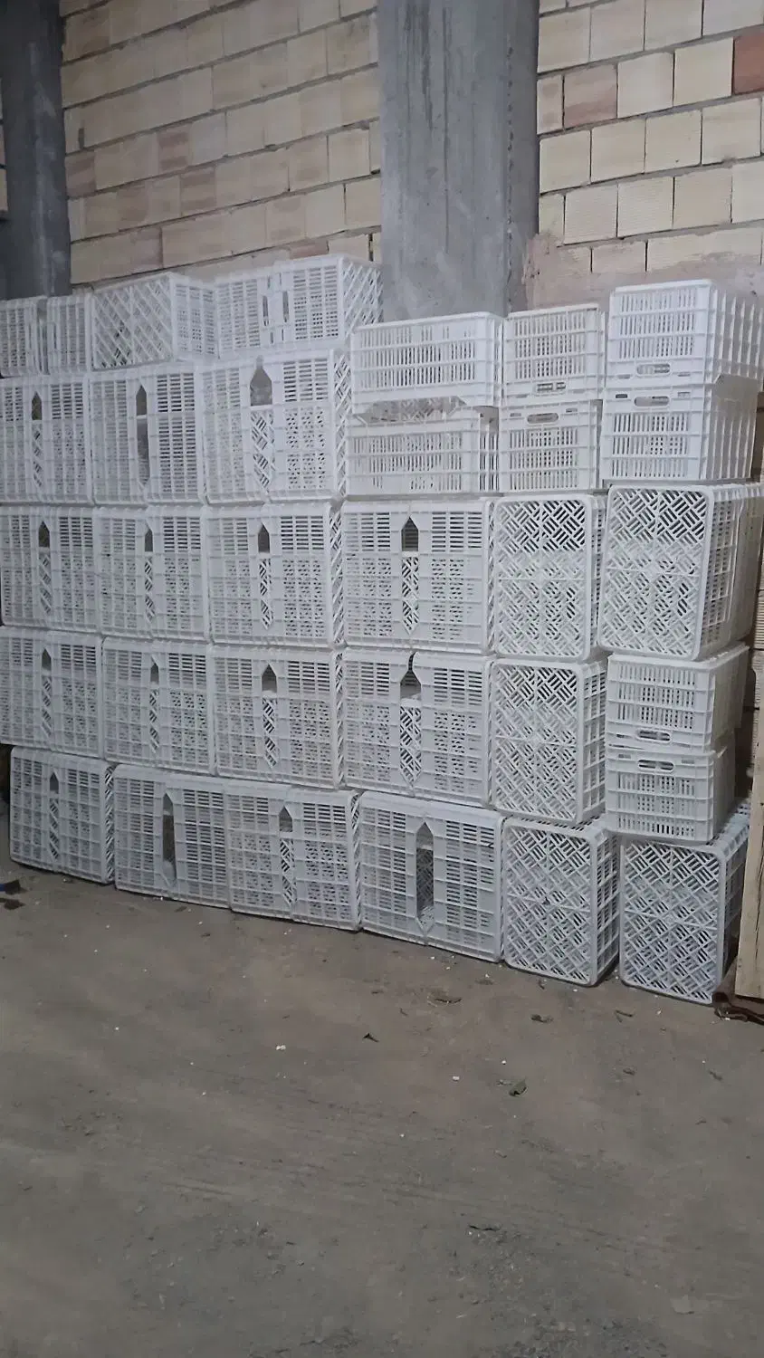 سبد میوه درجه یک مواد یک|عمده‌فروشی|مریوان, |دیوار