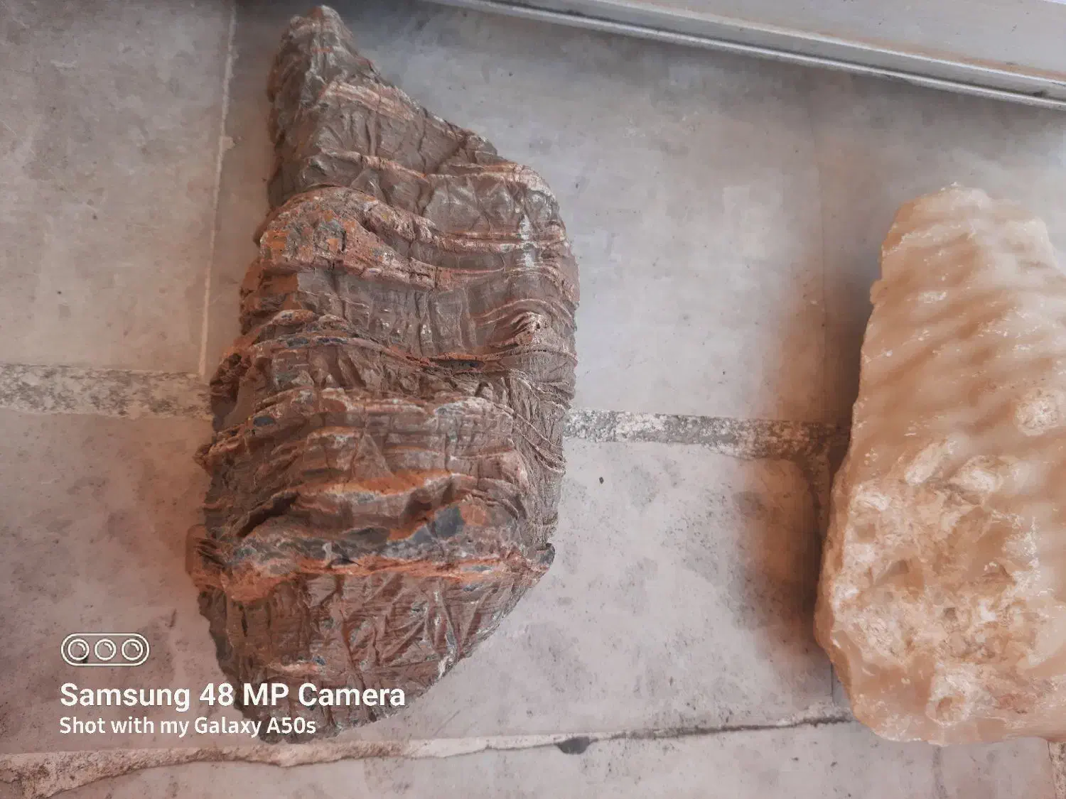 سنگ طبیعی آکواریوم|ماهی|کرج, کوی امامیه|دیوار