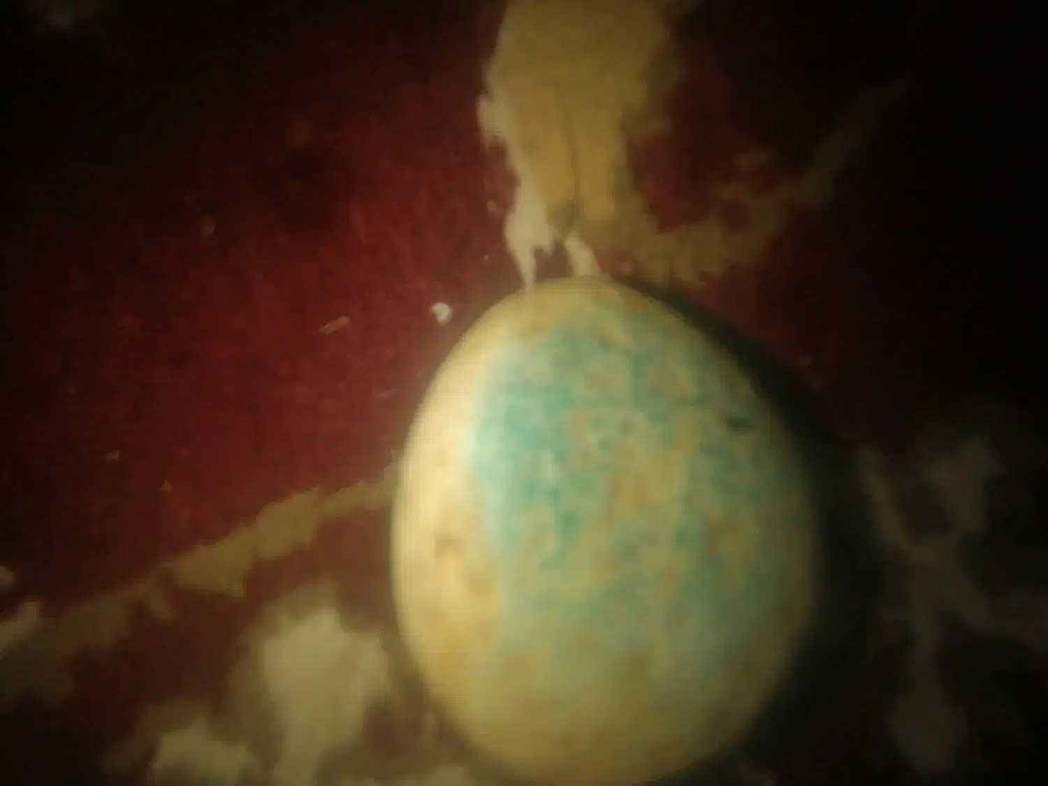 سلام سه عددسنگ اسیاب برای فروش|کلکسیون اشیاء عتیقه|دهاقان, |دیوار