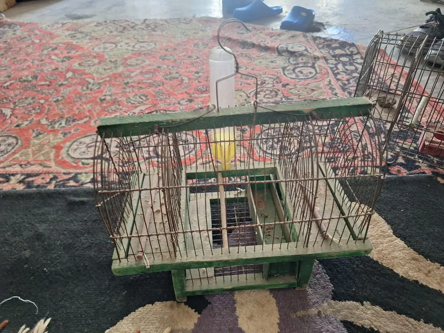 تله سهره|لوازم جانبی حیوانات|همدان, |دیوار