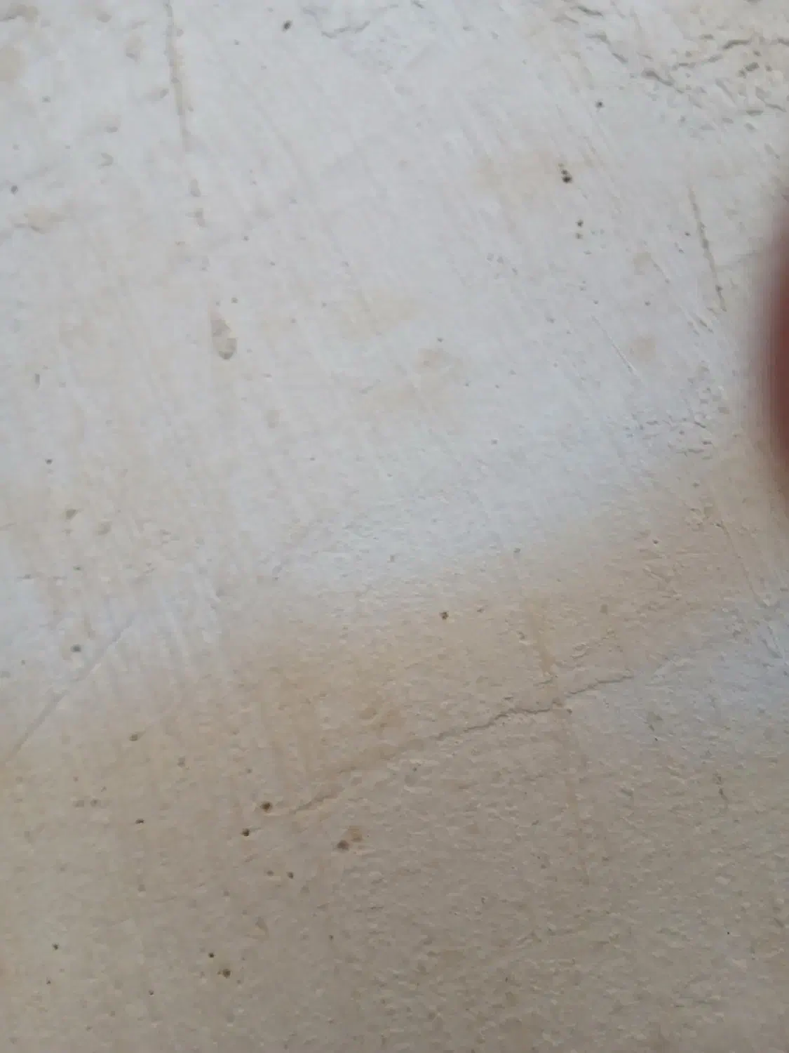 ارد هفشجان بابهترین نوع پخت|خوردنی و آشامیدنی|بروجن, |دیوار