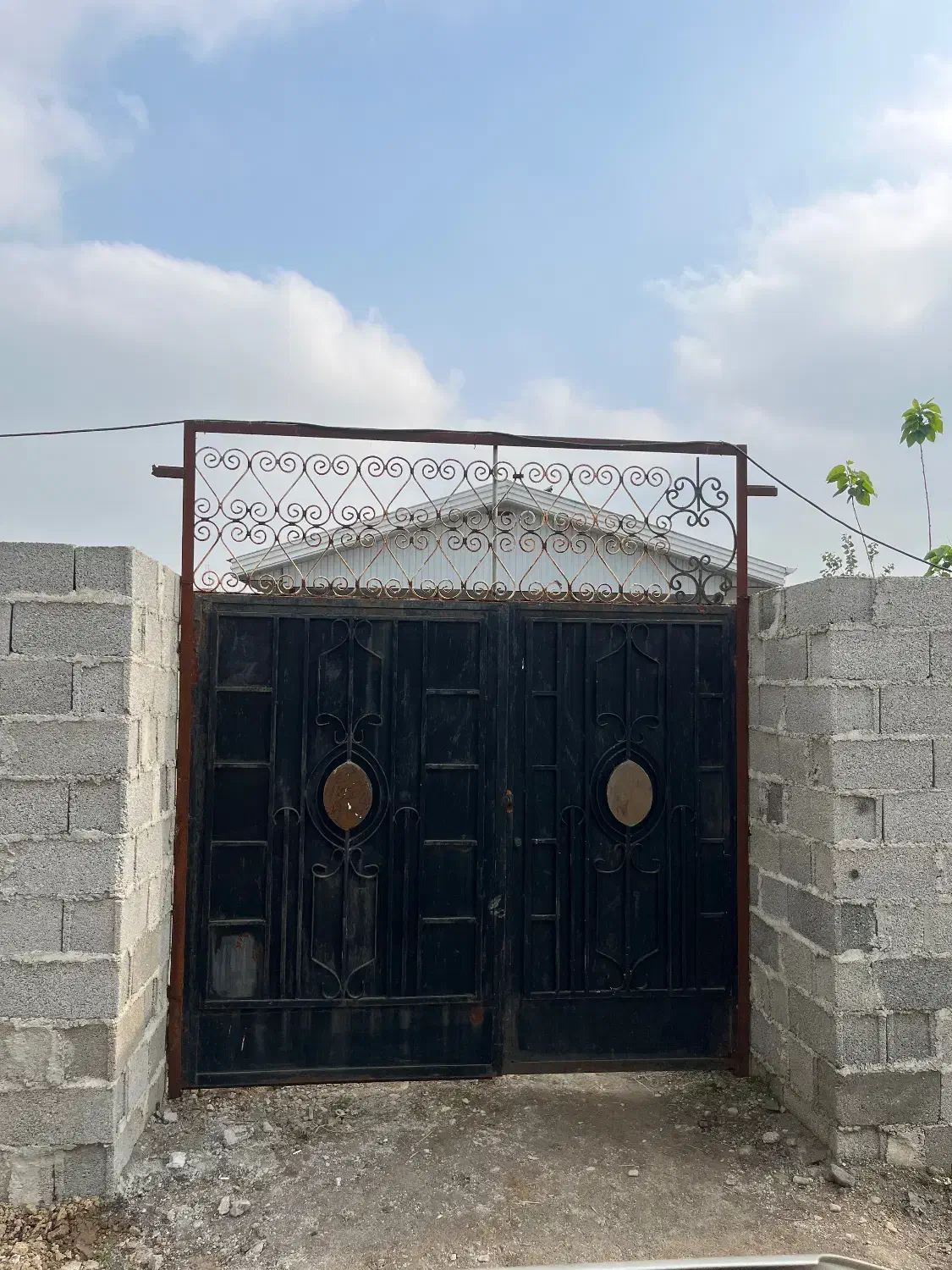 درب حیاط|مصالح و تجهیزات ساختمان|رشت, کاکتوس|دیوار