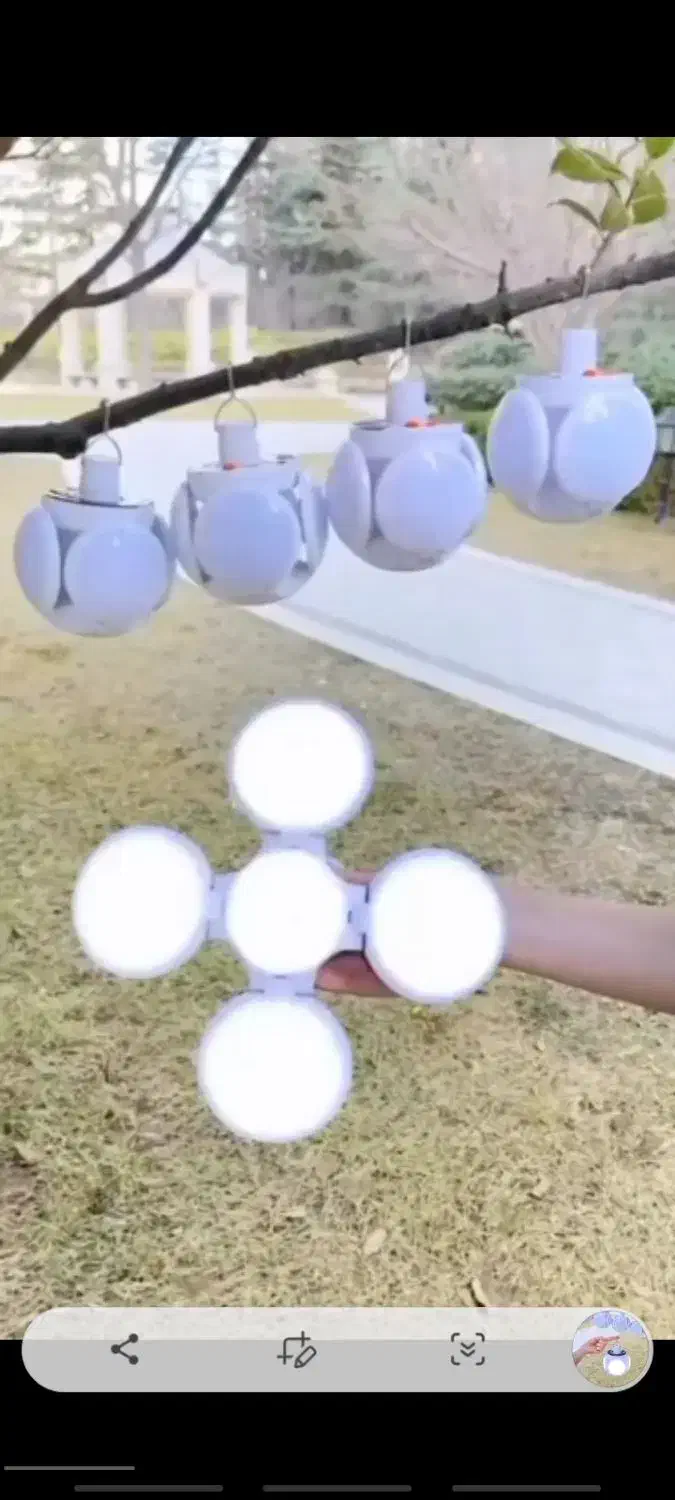 لامپ پنج پر|ریسه و چراغ تزئینی|یزد, |دیوار