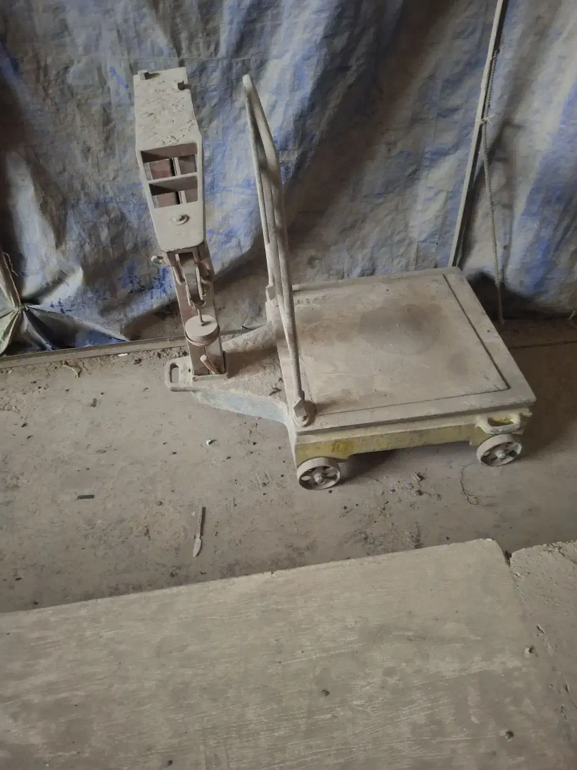 باسکول|پرنده|بروجرد, |دیوار