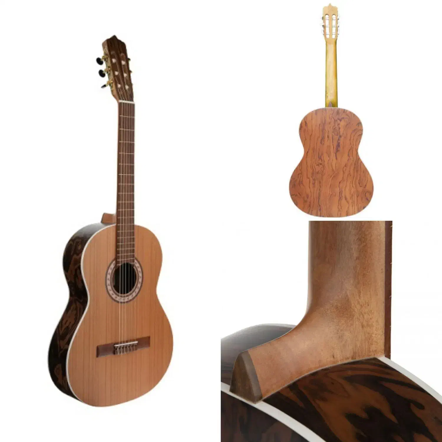 گیتار مارتین D6|گیتار، بیس، امپلیفایر|پرند, فاز ۶|دیوار