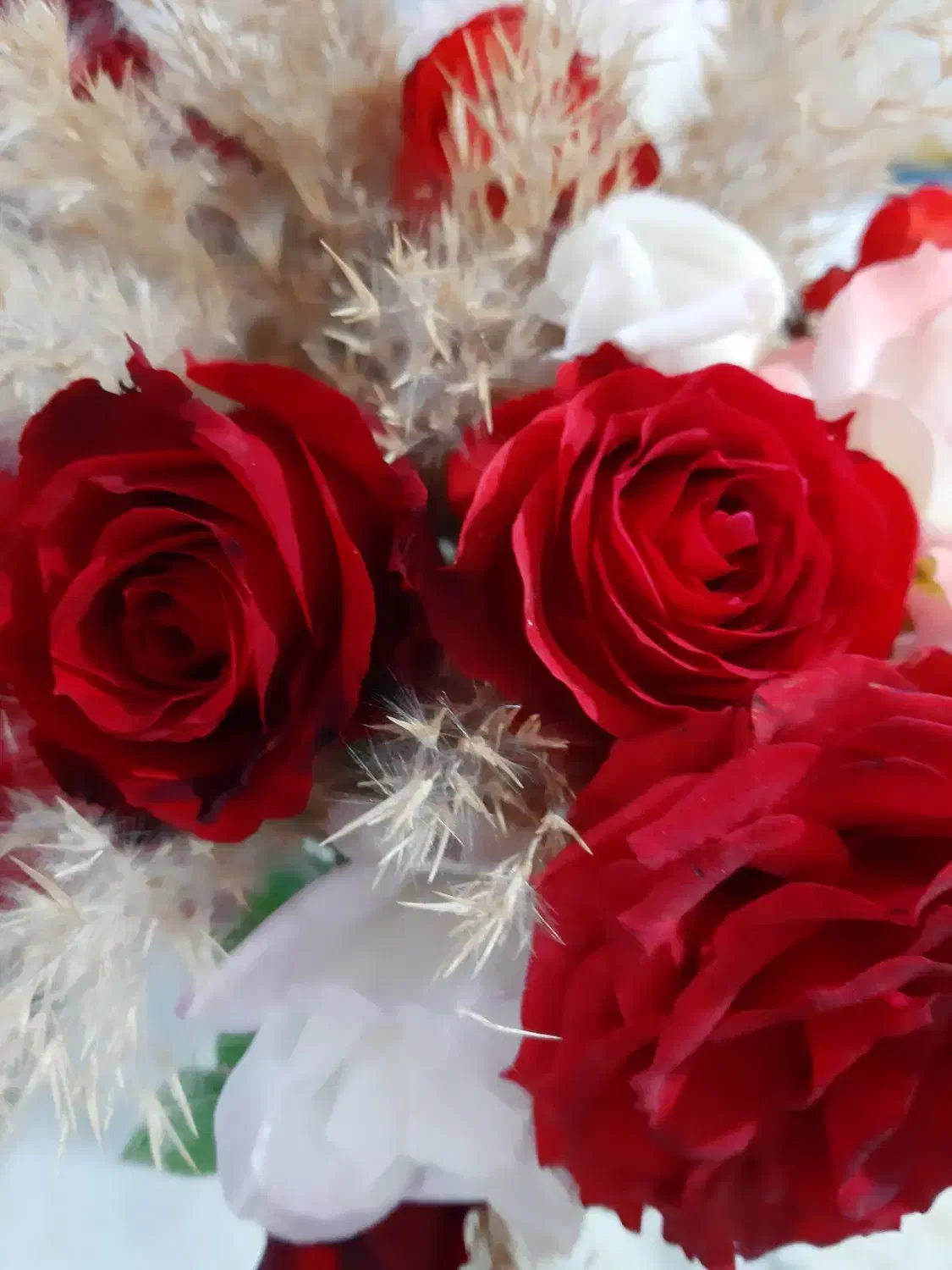 گل رز  طبیعی دسته حدود ۱۷ شاخه کلا ۲۰۰|گل و گیاه طبیعی|محمدشهر, همایون ویلا|دیوار