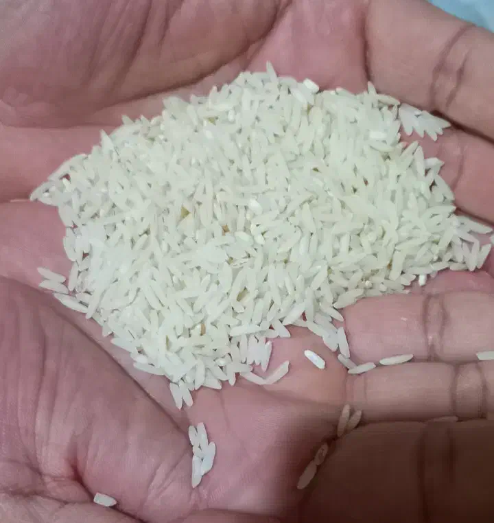 برنج طارم هاشمی کیلویی 310|خوردنی و آشامیدنی|نور, |دیوار