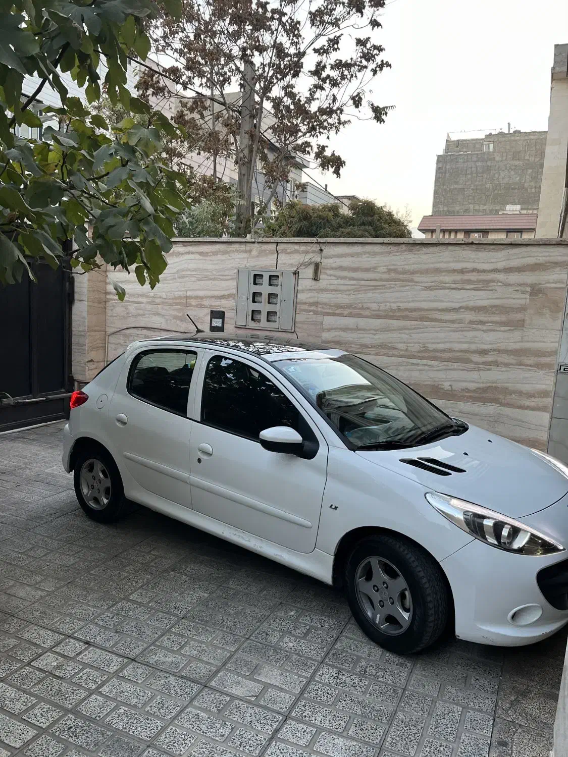 ۲۰۷ پانا دنده ای|خودرو سواری و وانت|تهران, شهرک دانشگاه|دیوار