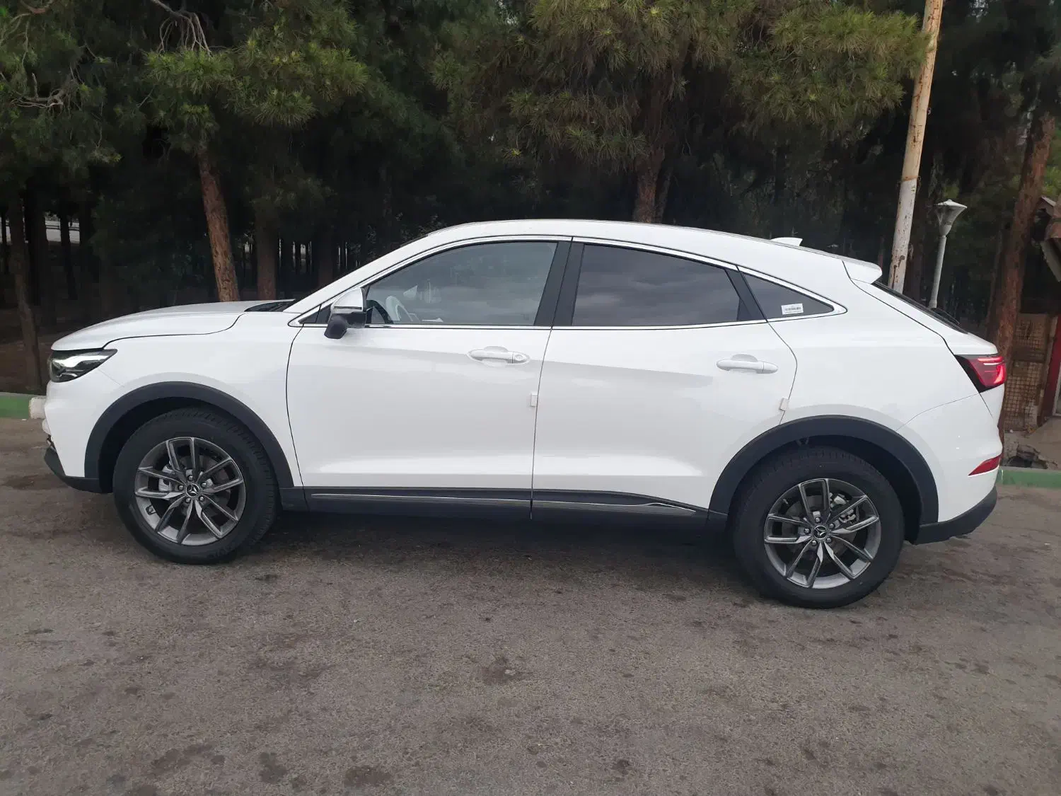 دیگنیتی پرایم|خودرو سواری و وانت|نورآباد, |دیوار