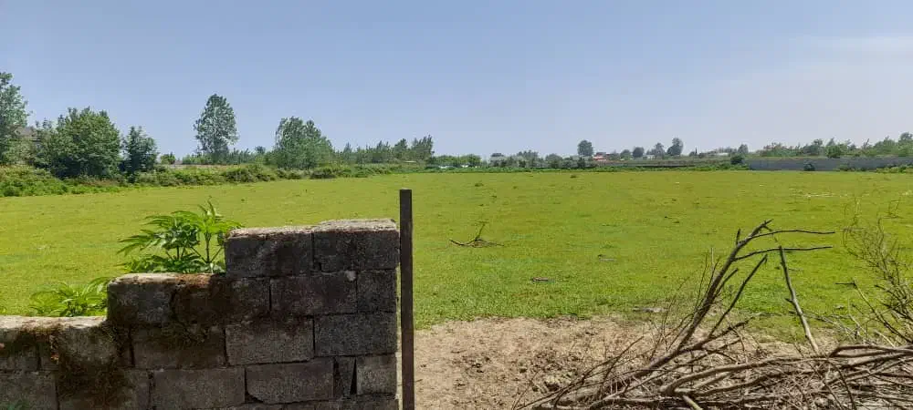 زمین به متراژ ۲۵۰۰ متر ساحلی جنگلی|فروش زمین و ملک کلنگی|پره‌سر, |دیوار