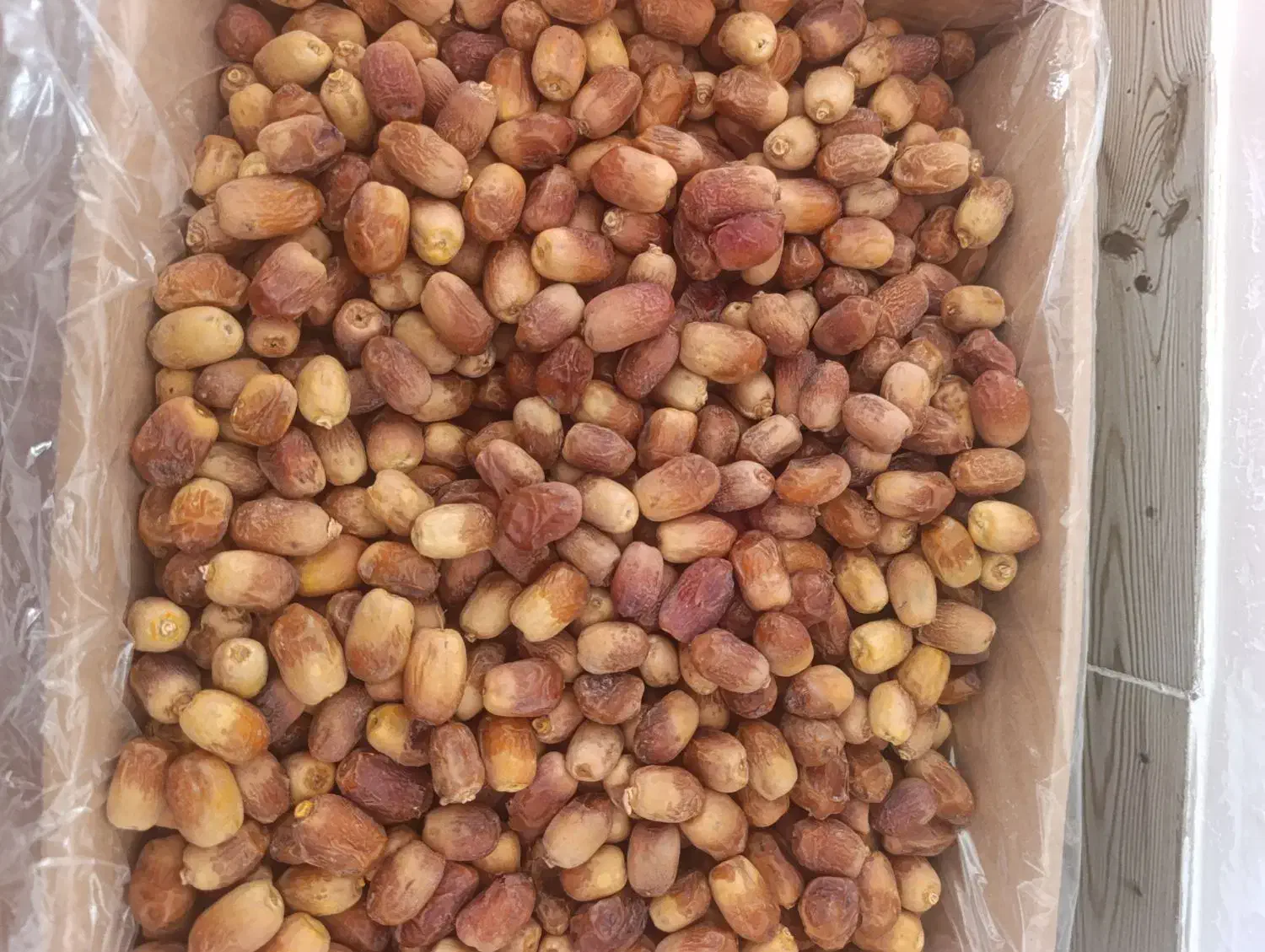 زاهدی|حراج|ایلام, |دیوار