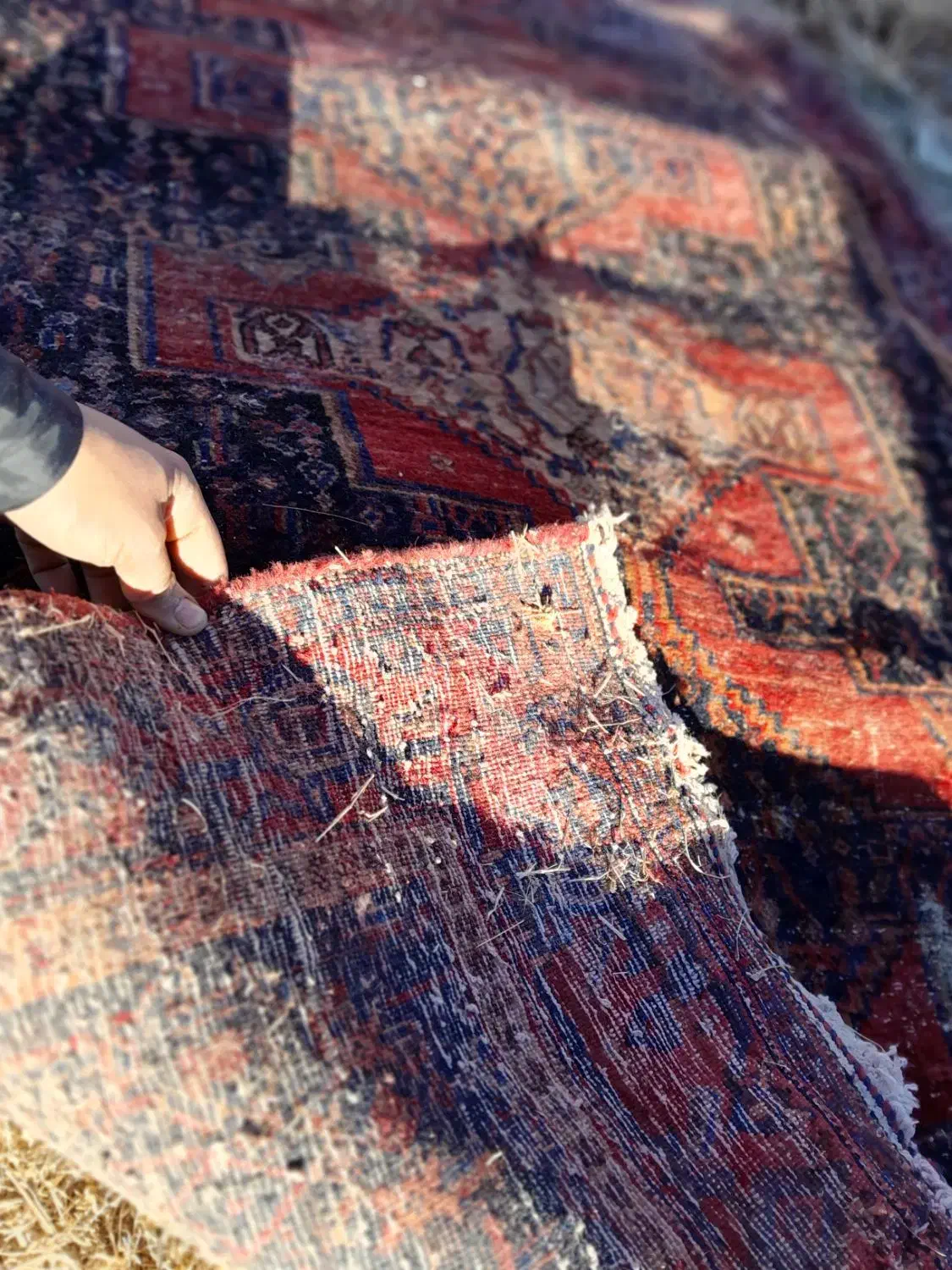 فرش قدیمی دست باف|فرش|سنندج, |دیوار