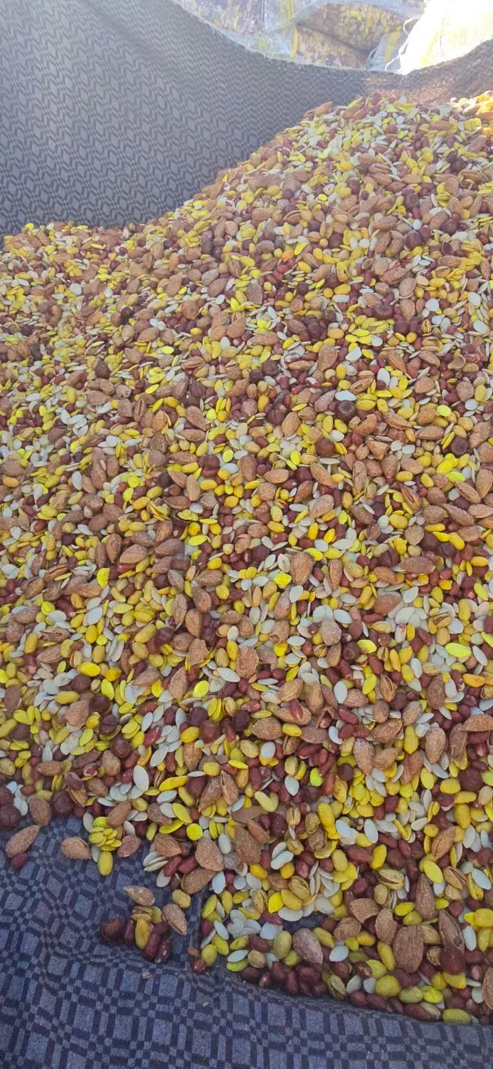 آجیل درجه ۱|عمدهفروشی|دیواندره, |دیوار