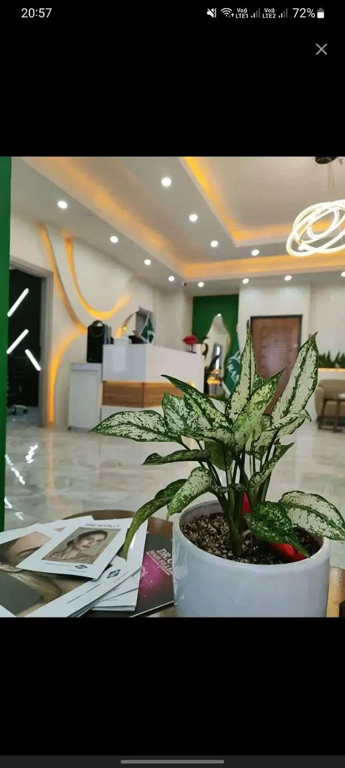 لیزر موهای زائد بدن همراه با روشن کنندگی بدن|خدمات آرایشگری و زیبایی|اسلامشهر, باغ فیض|دیوار