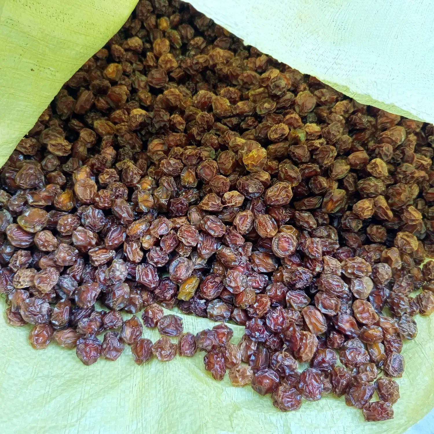 فروش برگ زردآلو وآلوچه|خوردنی و آشامیدنی|گلپایگان, |دیوار