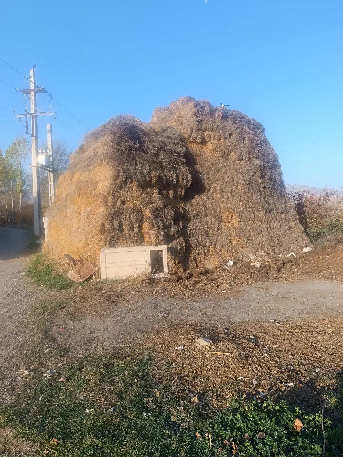 کاه پرس جو|لوازم جانبی حیوانات|مرادلو, |دیوار