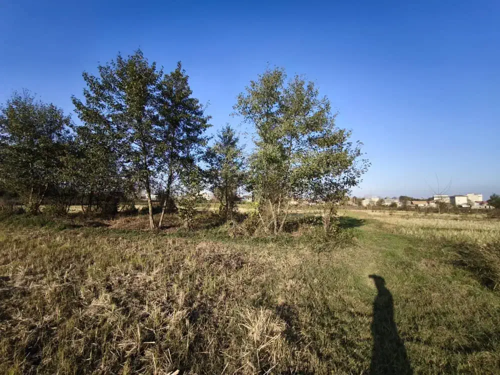 زمین۱۵۰۰متری در شهرستان فومن روستای نوگوراب|فروش زمین و ملک کلنگی|فومن, |دیوار