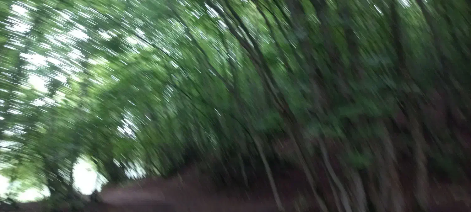 باغ زراعی|فروش دفتر صنعتی، کشاورزی، تجاری|مشگین شهر, |دیوار