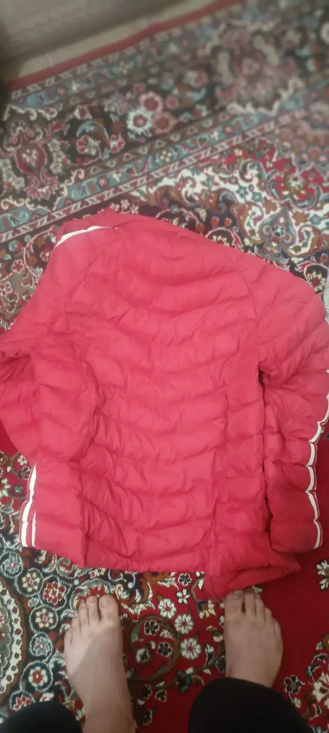 وسایل شخصی|تجهیزات ورزشی|محمدشهر, ولدآباد|دیوار